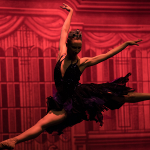 la-bella-addormentata-di-ajkovskij-