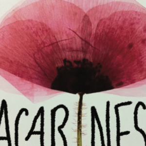 acarnesi-prima-nazionale